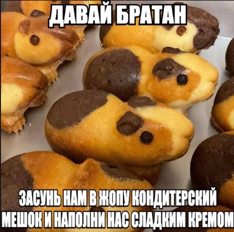 Я заебался тут постить слегка, думаю над тем, чтобы мемы подписчикам в личку присылать
