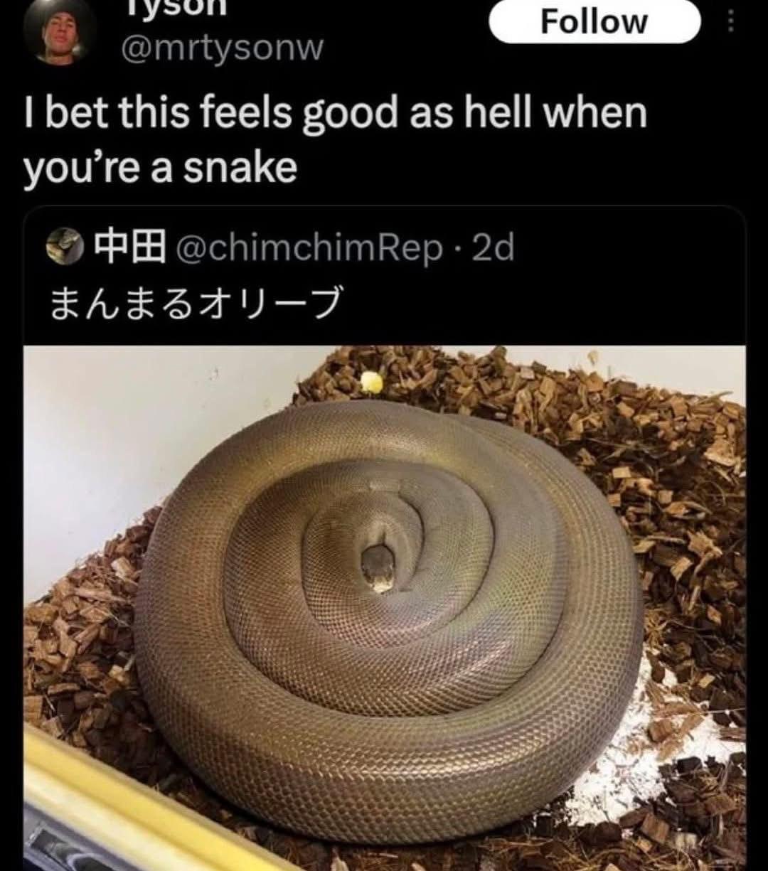 bet this feels good as hell when a snake