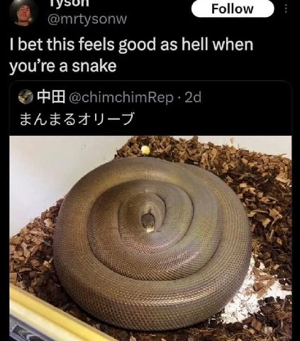 bet this feels good as hell when a snake