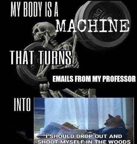 HIN EMAILS FROM MY PROFESSOR НЕ WOODS