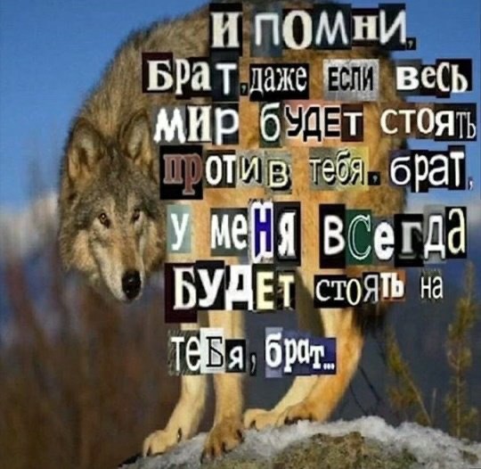 И ПОМНИ Брат лаже 7 МИР 6: отив тебя брат. всегда ‘Стоять на брт