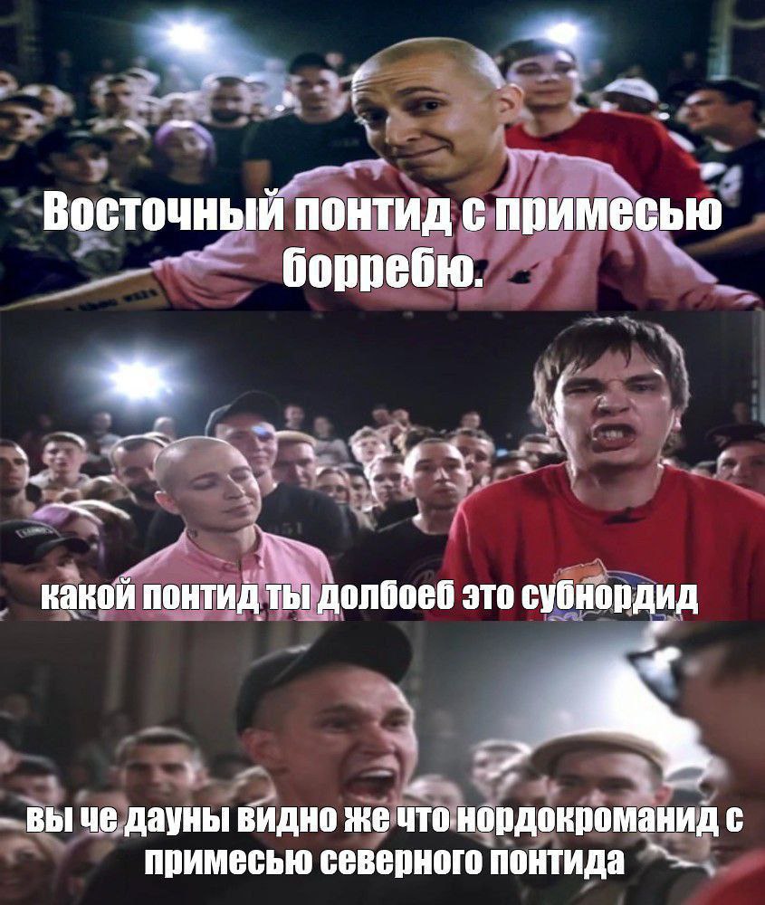 Восточный понтид с примесью борребю. Кавои понтид ТЫ долбоеб это субнордид a ВЫЧ@ видно же уто.нордокроманид с примесью северного понтида