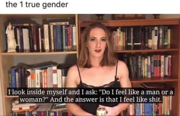 the 1 true gender у look inside myself and I ask: I feel like а а woman?" And the answer is that I feel like shit.