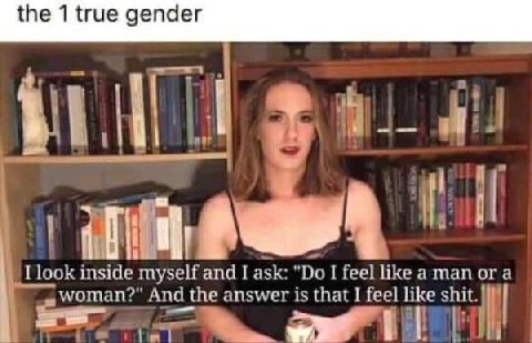 the 1 true gender у look inside myself and I ask: I feel like а а woman?" And the answer is that I feel like shit.