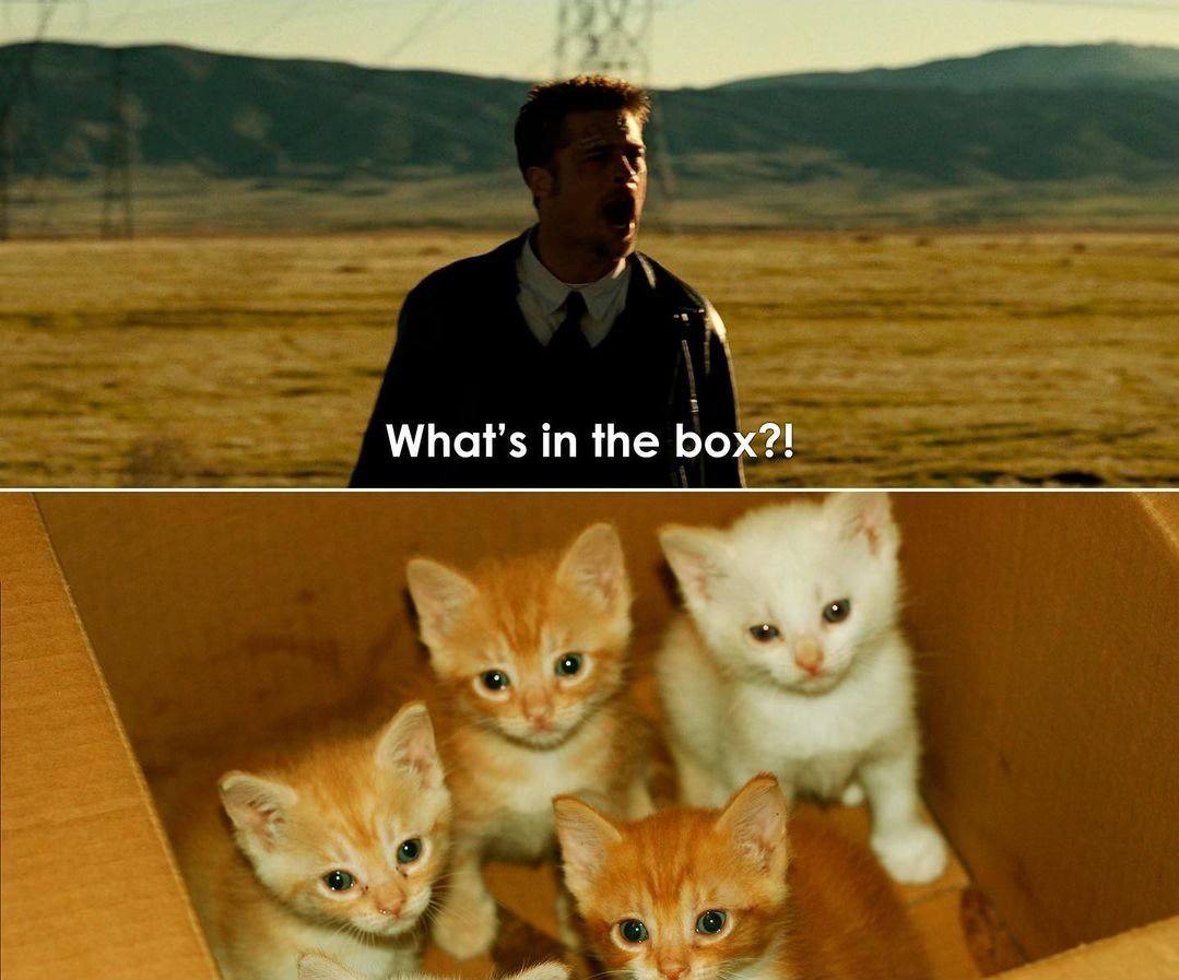 What’s in the box?!