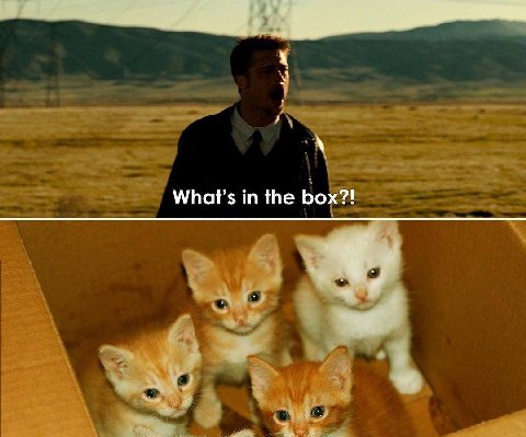 What’s in the box?!