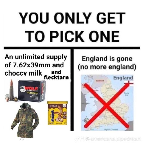 YOU ONLY СЕТ TO PICK ONE An unlimited supply England is gone of 7.62x39mm and (no more england) flecktarn