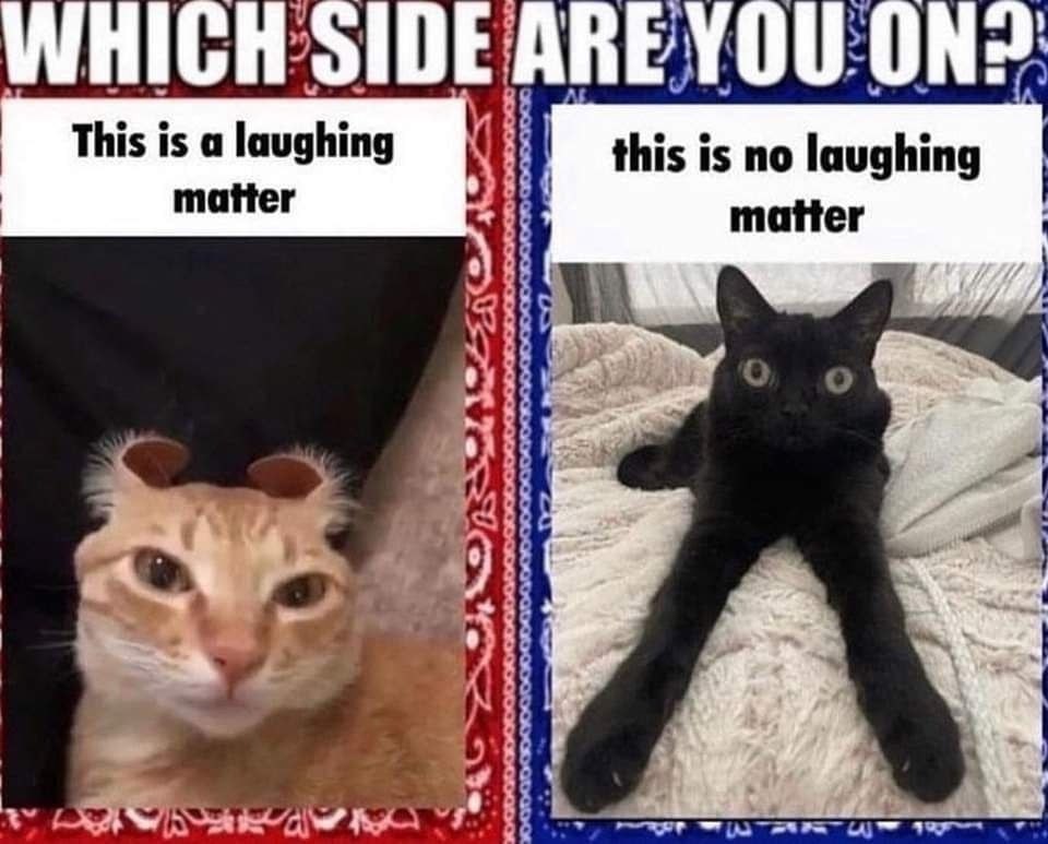 5 и у A А о о This is а laughing this is no laughing matter it matter 74 о a и. a 4 1%