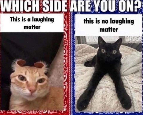 5 и у A А о о This is а laughing this is no laughing matter it matter 74 о a и. a 4 1%