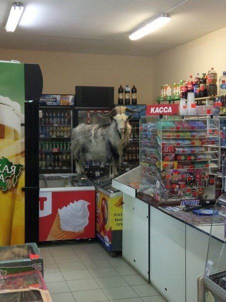 КАССА