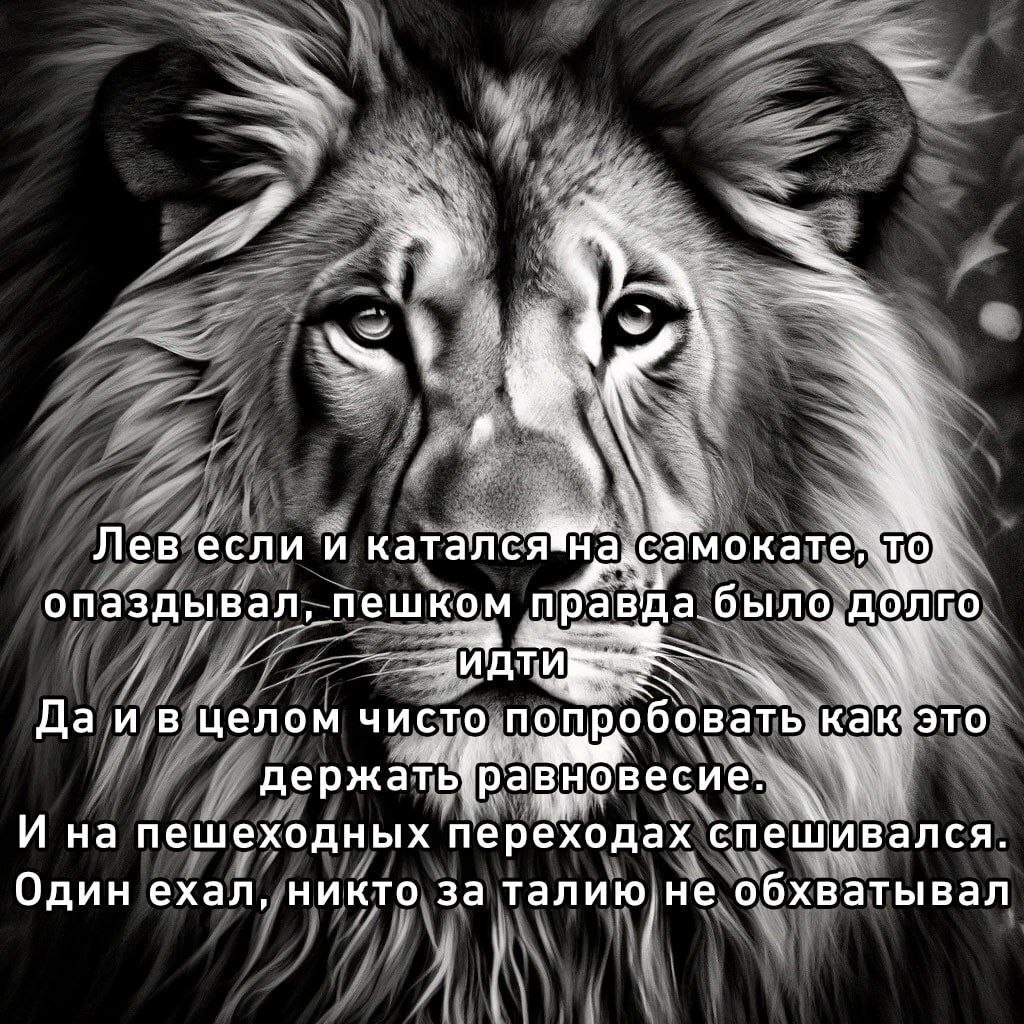 a Лев если и катался опаздывал, пешком правда было. долго А а целом чисто попробовать Kak это И на пешеходных переходах спешивался. Один ехал, никто за обхватывал