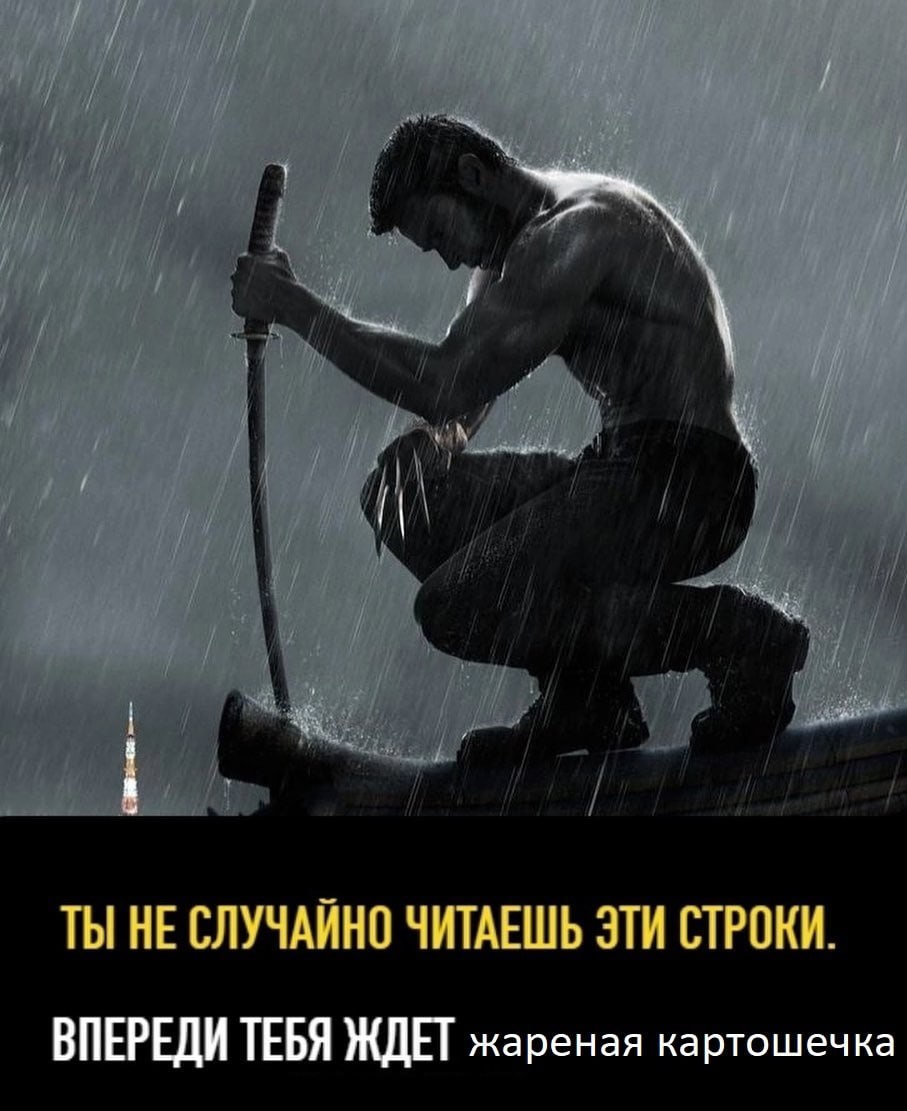 ТЫ НЕ СЛУЧАЙНО ЧИТАЕШЬ ЭТИ СТРОКИ. ВПЕРЕДИ ТЕБЯ ЖДЕТ жареная картошечка