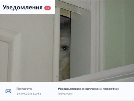 Уведомления Госпочта Уведомление о врученми i241 Госуслуги
