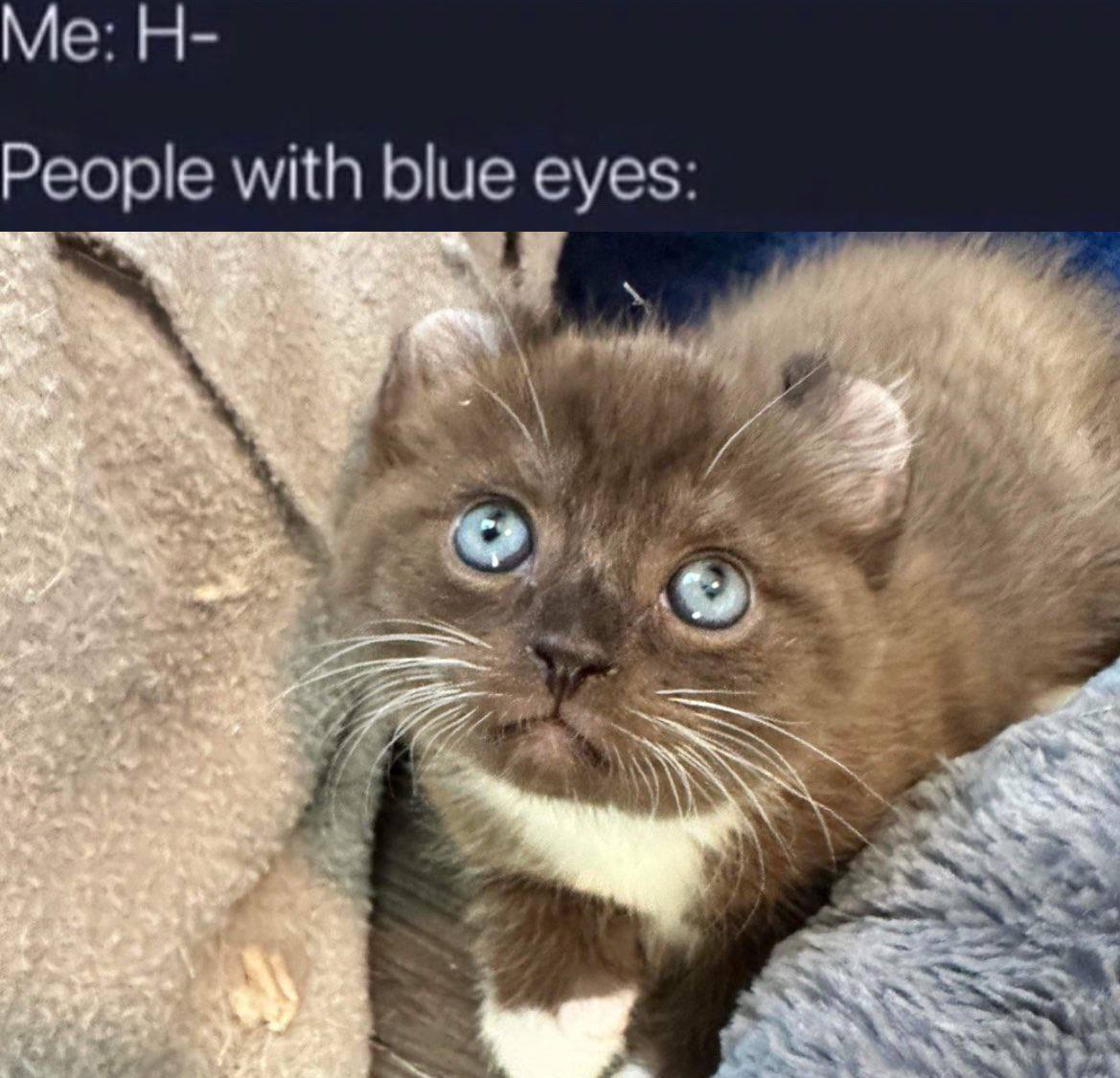 People with eyes: я A я we