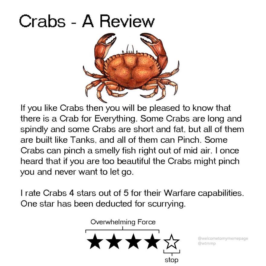 Crabs А Review 90) If you like Crabs then you will be pleased to know that there is a Crab for Everything. Some Crabs are long and spindly and some Crabs are short and fat. but all of them are built l