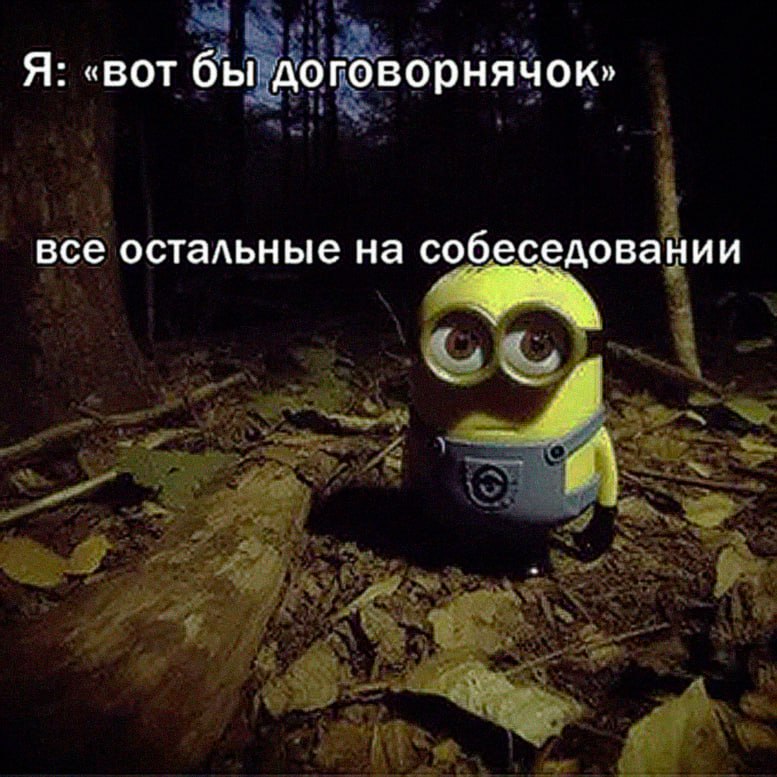 Я: «вот бы договорнячок» все остальные на собеседовании
