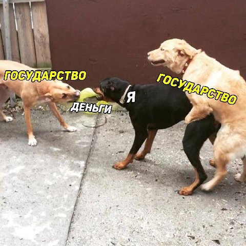 ПОСУДАРСТВО гос 4 {Я 7.