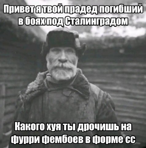 Приветятвой погибши в бояхпод(Сталинградом Какого хуя дрочишь на фурри фембоев в формесс