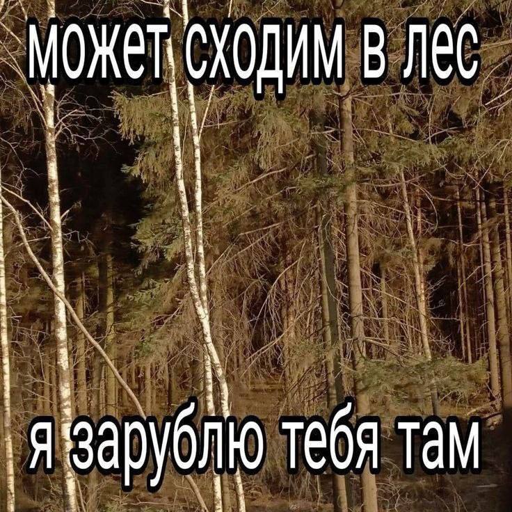 сходим Лес ‚Я зарублю тебя там