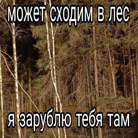 сходим Лес ‚Я зарублю тебя там