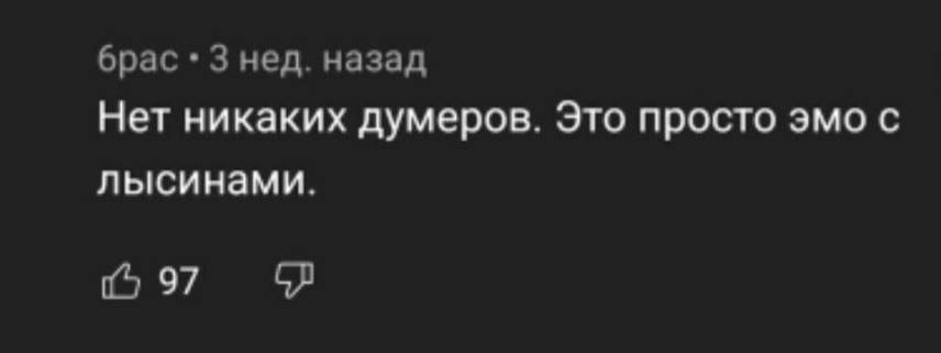 брас 3 нед. назад Нет никаких думеров. Это просто эмо с лысинами. 97