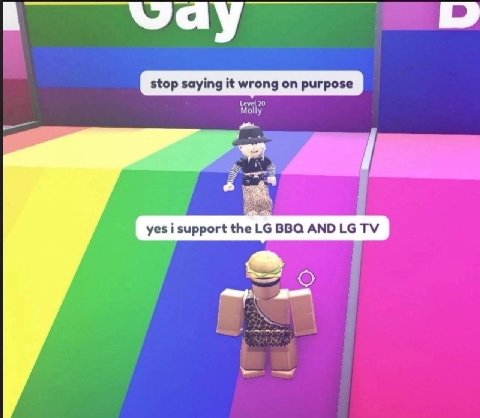 stop saying it wrong on purpose Molly” yes i support the BBQ АМО