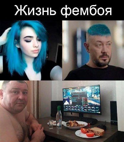 Жизнь фембоя