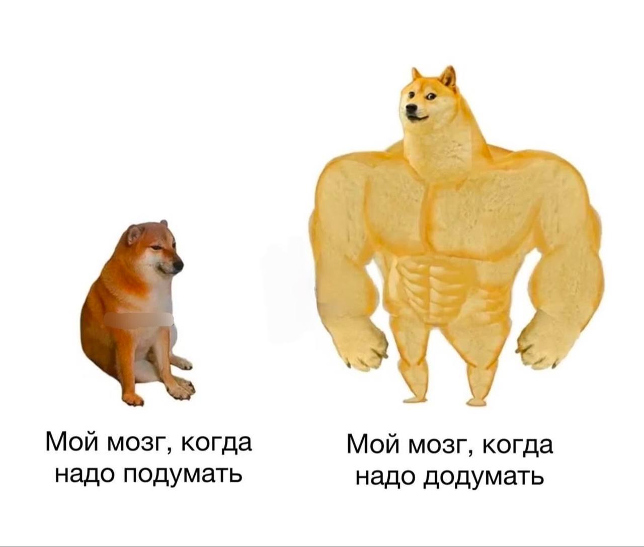 Мой мозг, когда Мой мозг, когда надо подумать надо додумать