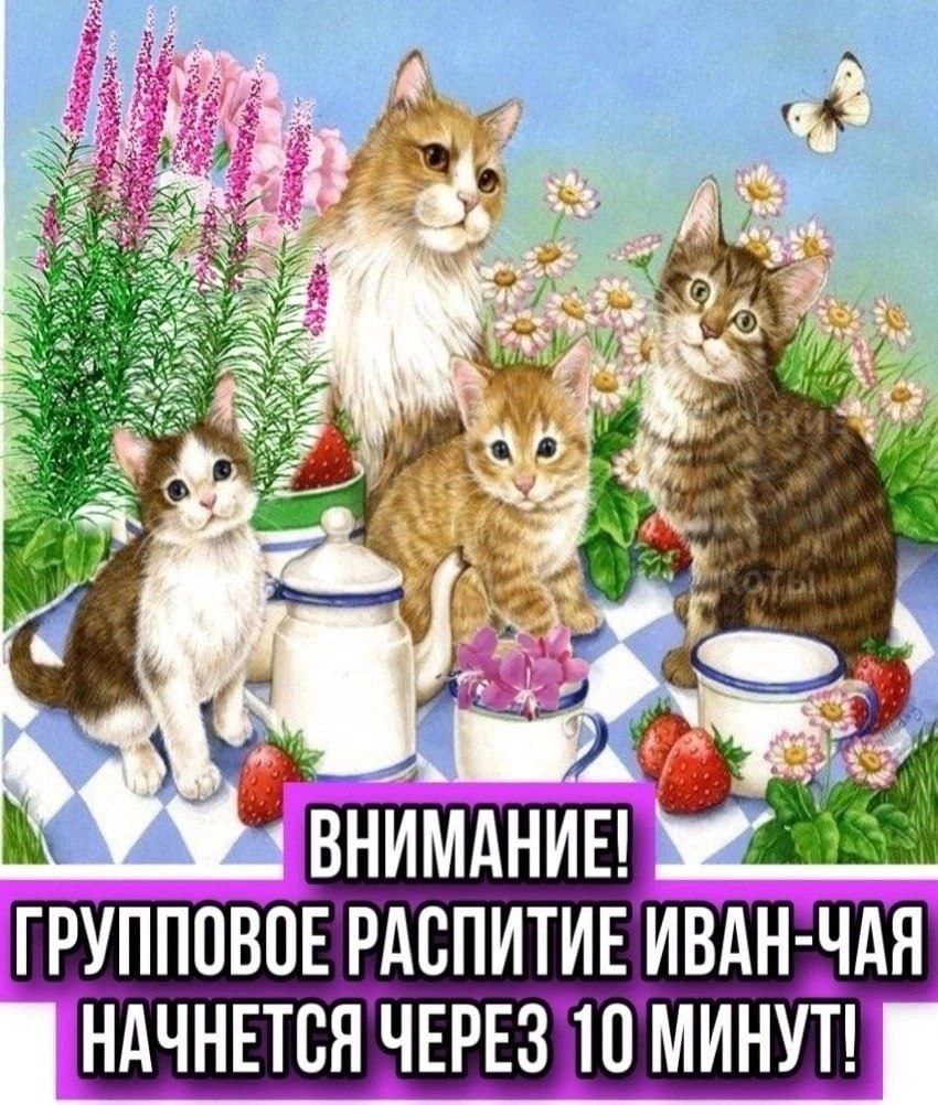 Me 3 a a A a4, aN у “6 at fat “A a. {4 “i> С ГРУППОВОЕ РАСПИТИЕ ИВАН-ЧАЯ НАЧНЕТСЯ ЧЕРЕЗ 10 МИНУТ