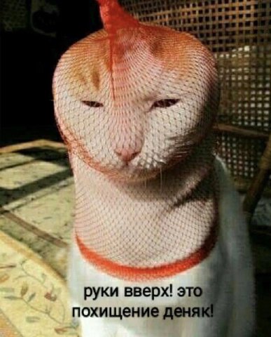 этот пост проплачен / моим кринжом