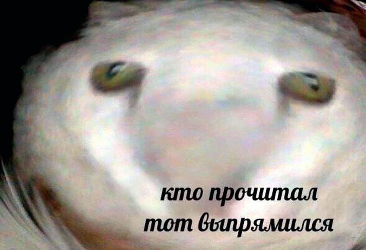 4 кто прочитал тот выпрямился