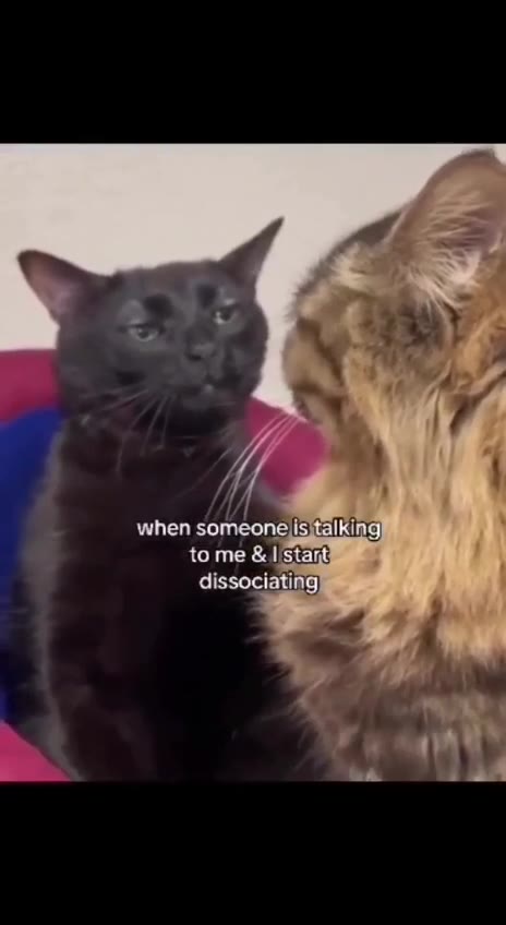 when someone is to me stant dissociating