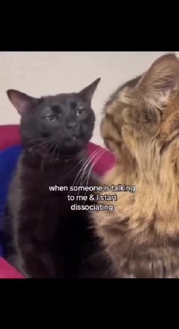 when someone is to me stant dissociating