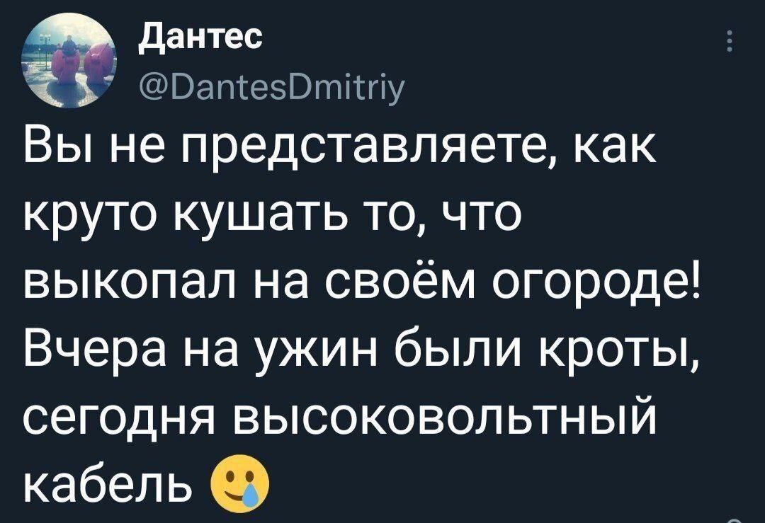 Дантес Вы не представляете, как круто кушать то, что выкопал на своём огороде! Вчера на ужин были кроты, сегодня высоковольтный кабель