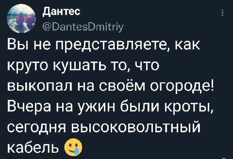 Дантес Вы не представляете, как круто кушать то, что выкопал на своём огороде! Вчера на ужин были кроты, сегодня высоковольтный кабель