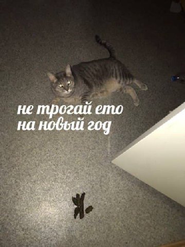 не трогай ето на новый