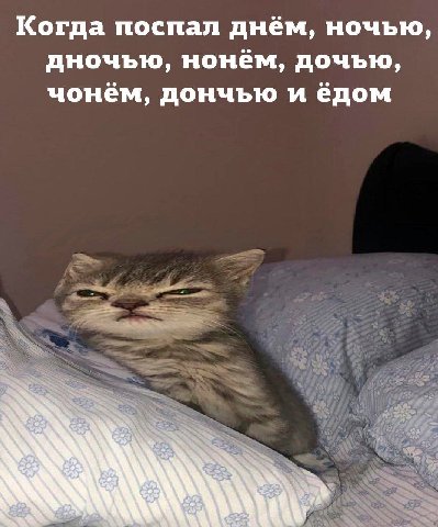 Когда поспал днём, ночью, дночью, нонём, дочью, чонём, дончью и ёдом