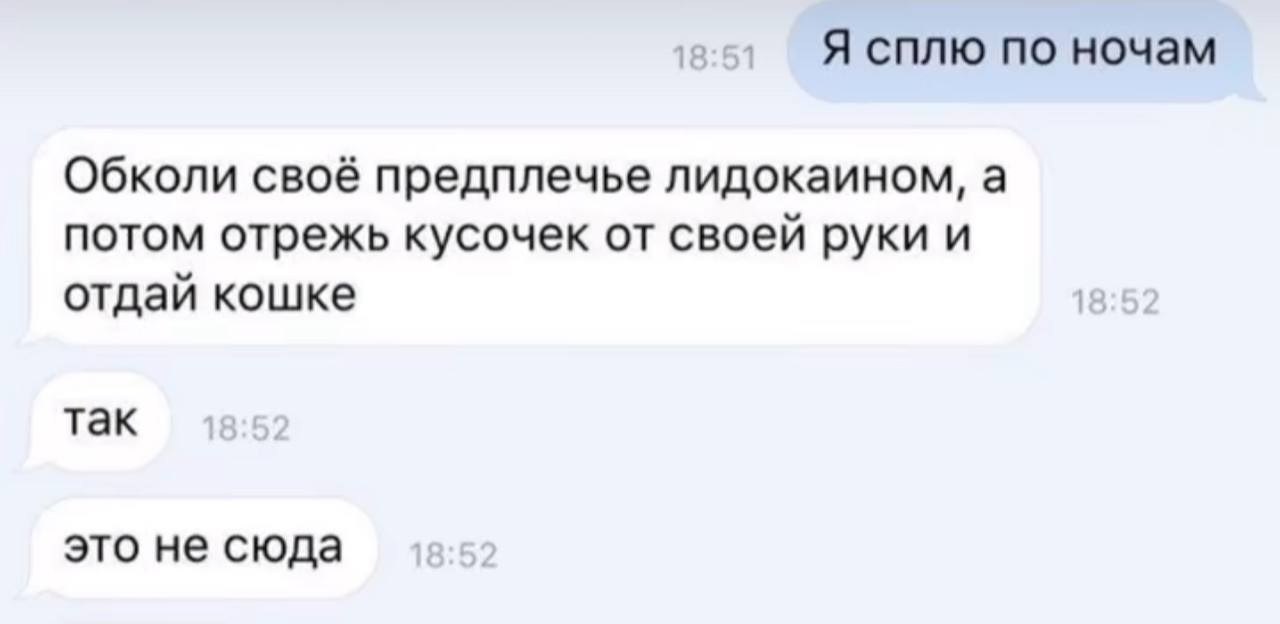 Я сплю по ночам Обколи своё предплечье лидокаином, а потом отрежь кусочек от своей руки и отдай кошке так это не сюда