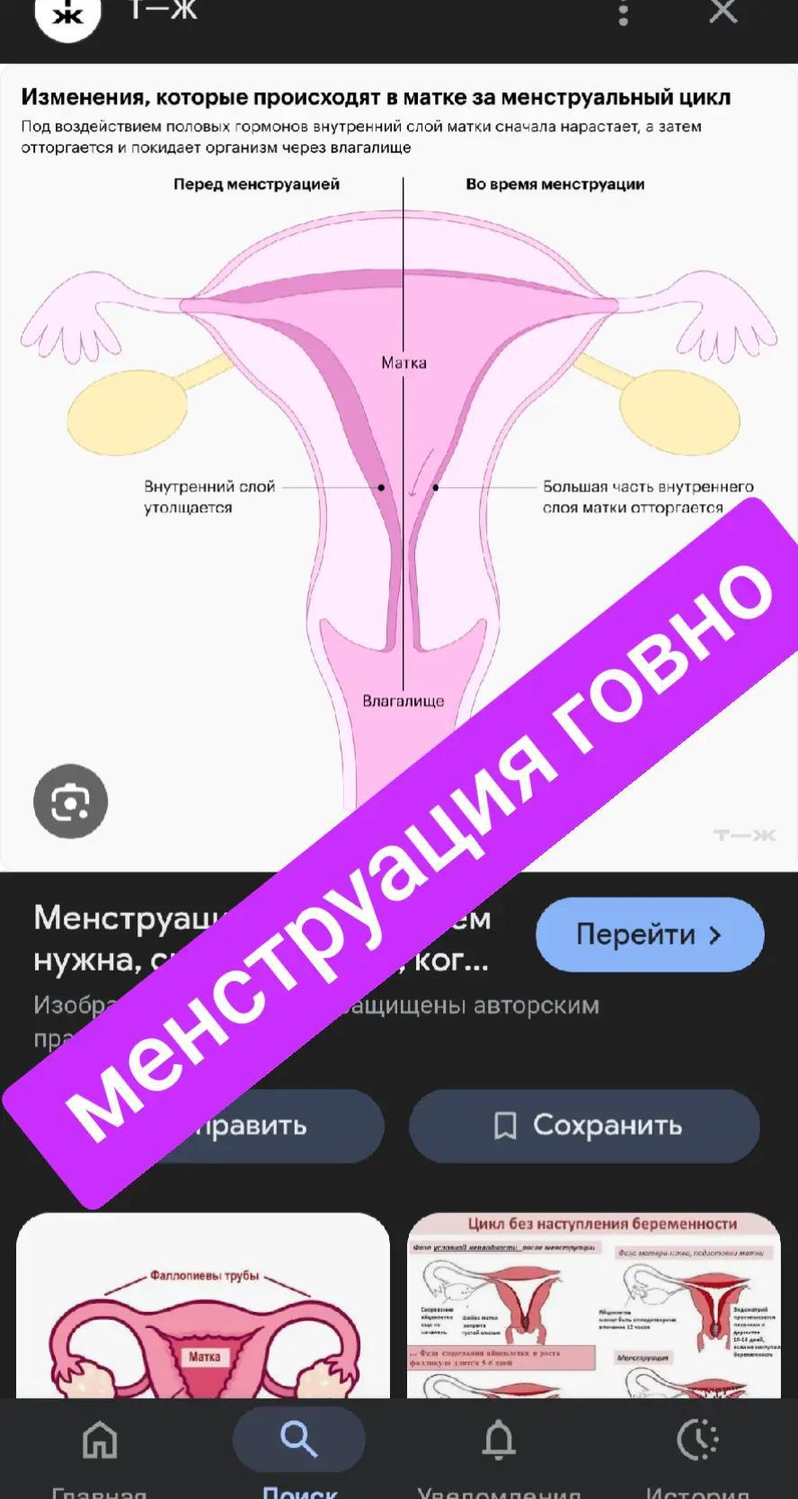Изменения, которые происходят в матке за менструальный ЦИКЛ Под воздействием половых гормонов внутренний слой матки сначала нарастает, затем отторгается и покидает организм через влагалище Перед менст