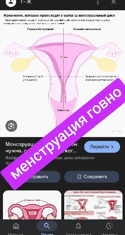 Изменения, которые происходят в матке за менструальный ЦИКЛ Под воздействием половых гормонов внутренний слой матки сначала нарастает, затем отторгается и покидает организм через влагалище Перед менст