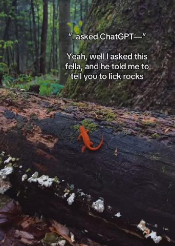 азкеа ChatGPT—" Yeah, welll asked this fella, and he told me to tell you to lick rocks