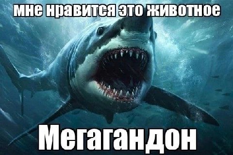 мне нравится ЭТО животное Мегагандон