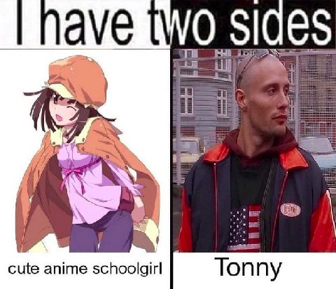 of С cute anime schoolgirl Ton