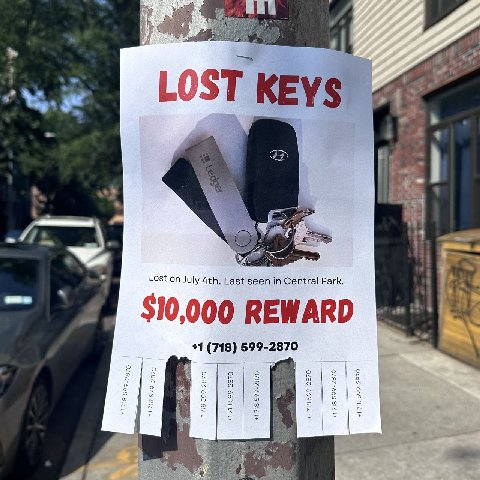 as KEYS Lost on July Last seen in Central Park. $10,000 REWARD +1 (718) 599-2870 i о