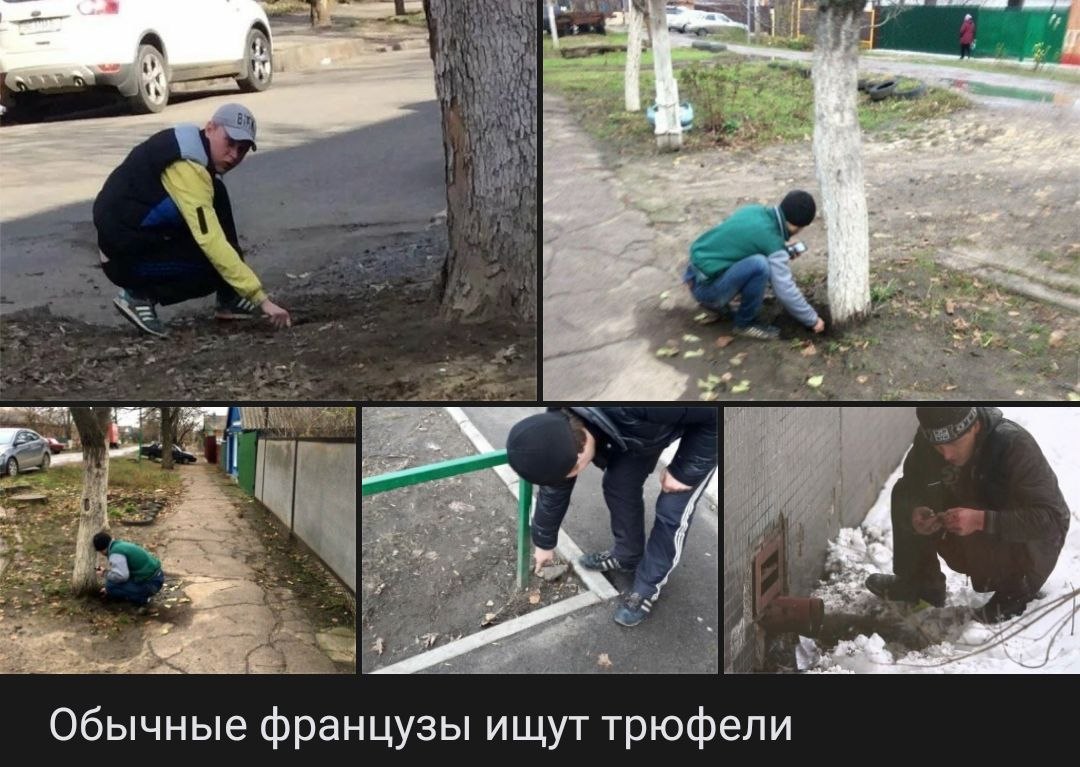 ~/4 7 Обычные французы ищут трюфели