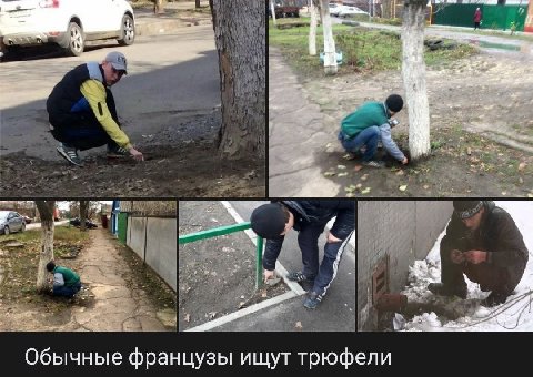 ~/4 7 Обычные французы ищут трюфели