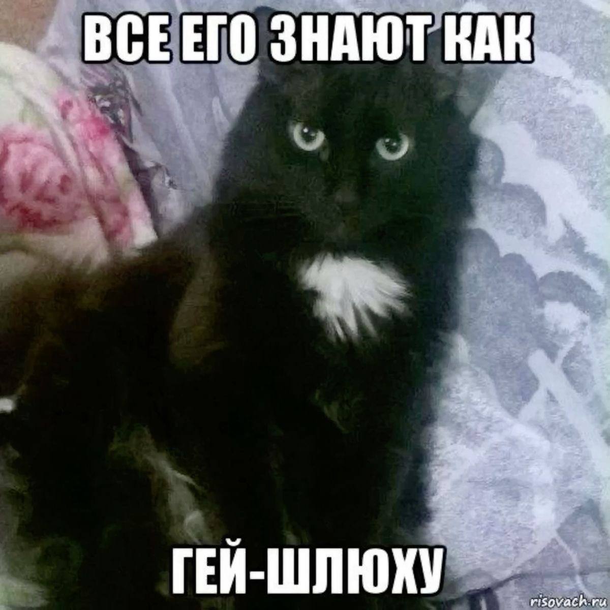 ВСЕЕГО ЗНАЮТ КАК ГЕЙ-ШЛЮХУ