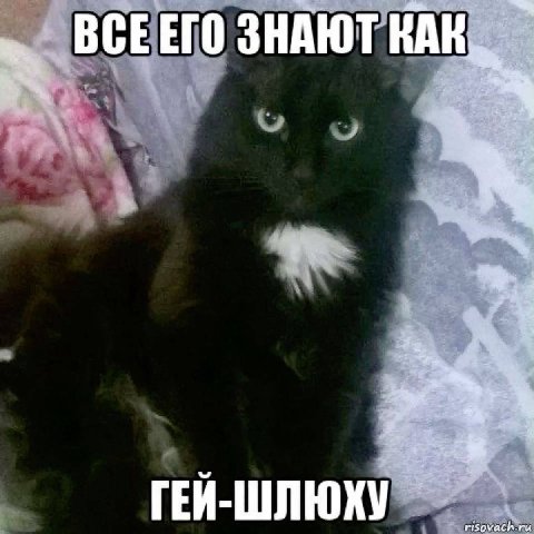 ВСЕЕГО ЗНАЮТ КАК ГЕЙ-ШЛЮХУ