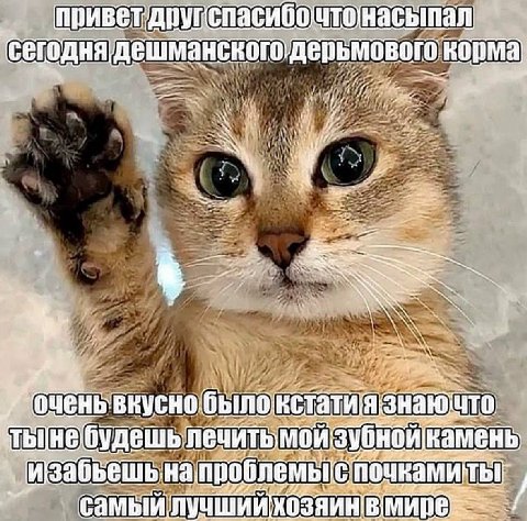 сегодня дешманского ORONMA (7 at 27% AN очень тынебуд Зубной камень Самый лучший