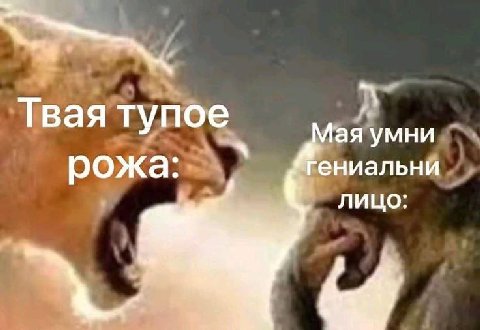 Твая тупое умни рожа: ениальни лицо